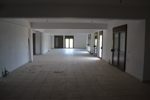 1 habitación Negocio en Chalkidiki, Greece No. 58178 10