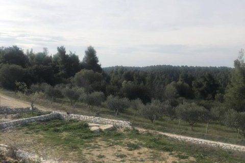 3 bedrooms Villa in Chalkidiki, Greece No. 48791 4