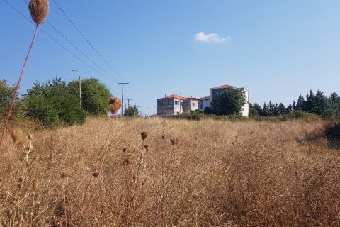 3255m² Land in Chalkidiki, Greece No. 56506 6