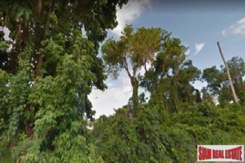 11096m² Land in Rawai, Thailand No. 95783 2