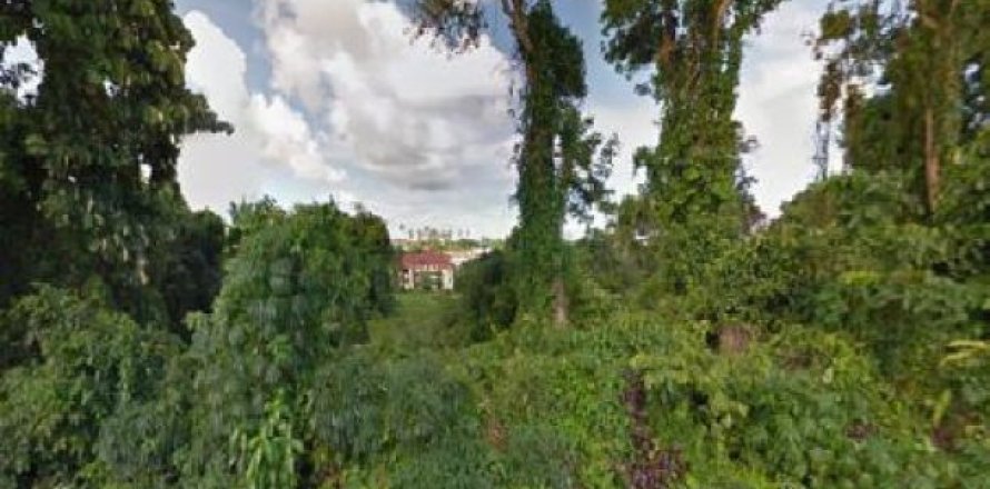 11096m² Land in Rawai, Thailand No. 95783