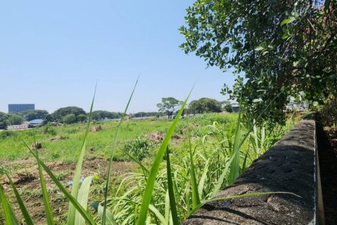 Дом с 3 спальнями в Чиангмай, Таиланд №98177 10