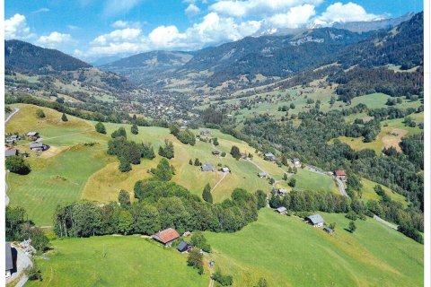 Дом 600м² в Пра-сюр-Арли, Франция №99605 1