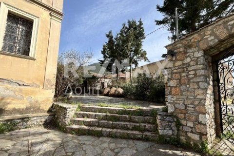 Дом с 4 спальнями в Магнисия, Греция №104632 6