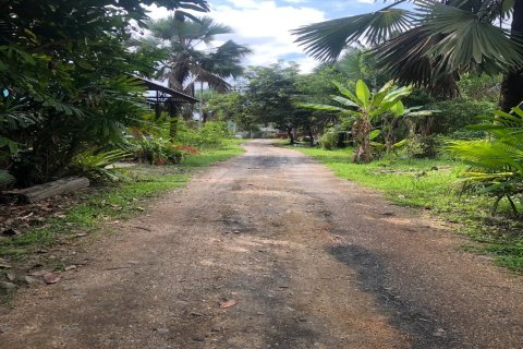 Land in Chiang Mai, Thailand No. 97602 7