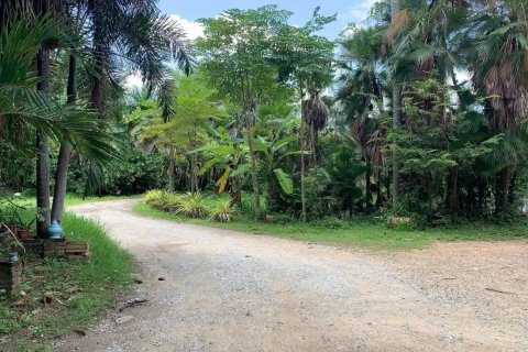 Land in Chiang Mai, Thailand No. 97602 2