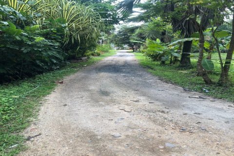 Land in Chiang Mai, Thailand No. 97602 5