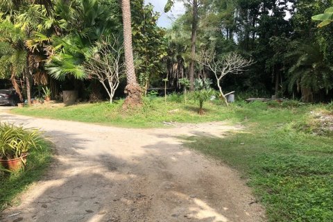 Land in Chiang Mai, Thailand No. 97602 6