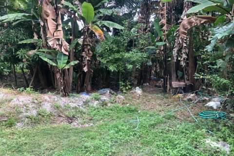 Land in Chiang Mai, Thailand No. 97602 4