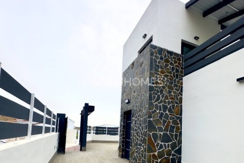 3 dormitorios Villa en My Loc, Vietnam No. 25931 14