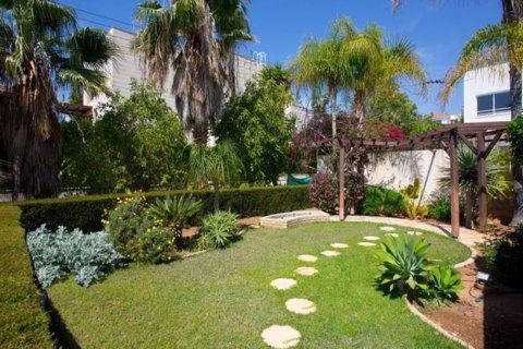 Studio Villa in Limassol, Cyprus No. 105605 13