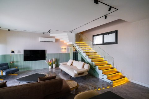 3 chambres Villa à Chau Lang, Vietnam No. 11650 20