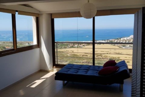 6 bedrooms Villa in Paphos, Cyprus No. 106102 13