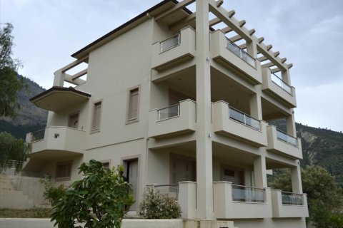 4 bedrooms House in Evrostina, Greece No. 58708 1