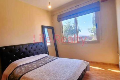 3 chambres House à Monagroulli, Cyprus No. 100579 14