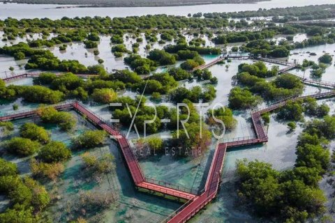 704m² Land in Al Hudayriat Island, UAE No. 129229