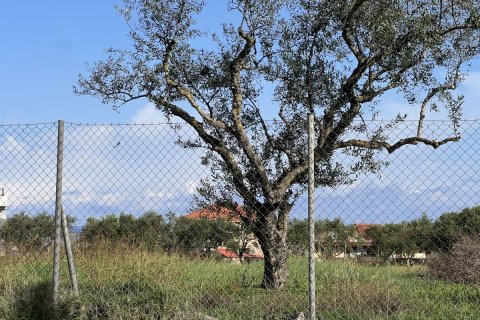 Land in Zakynthos, Greece No. 73162 9