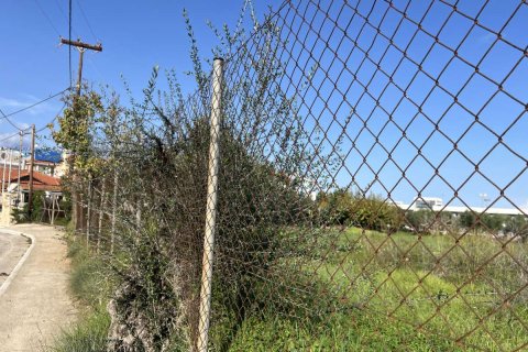 Land in Zakynthos, Greece No. 73162 7