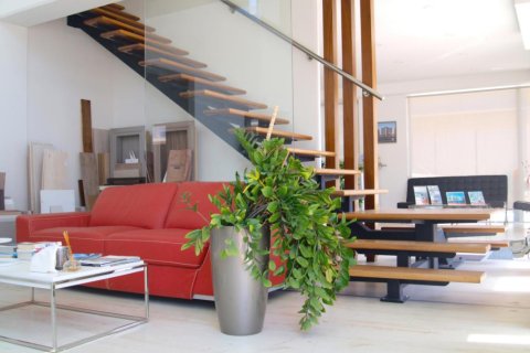 1530m² Commercial property in Limassol, Cyprus No. 106398 3