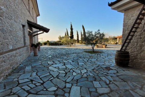 586m² Villa in Chalkidiki, Greece No. 108379 25