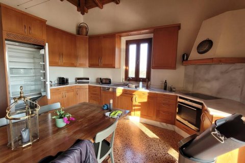 586m² Villa in Chalkidiki, Greece No. 108379 5