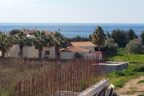7 rooms Villa in Paphos, Cyprus No. 105517 7