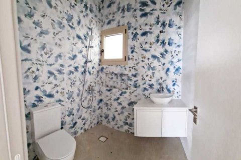 Дом с 3 спальнями в Тала, Кипр №66358 10