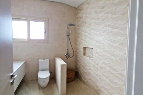 Дом с 3 спальнями в Тала, Кипр №66358 12