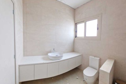 Дом с 3 спальнями в Тала, Кипр №66358 11