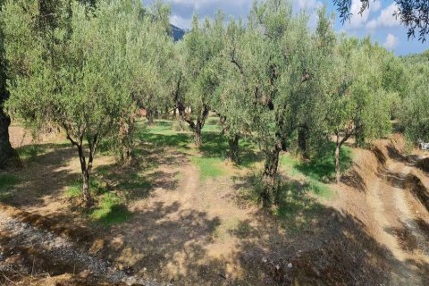 Land in Zakynthos, Greece No. 24735 16