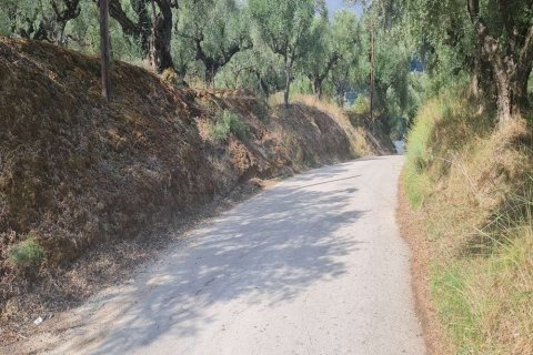 Land in Zakynthos, Greece No. 24735 5