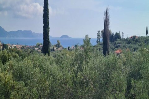 Land in Zakynthos, Greece No. 24735 19