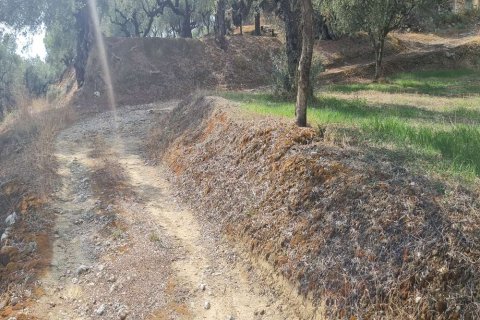 Land in Zakynthos, Greece No. 24735 3