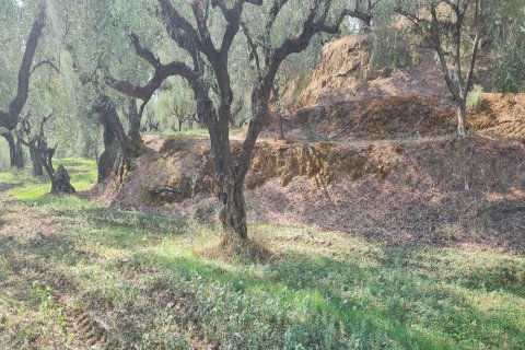 Land in Zakynthos, Greece No. 24735 10