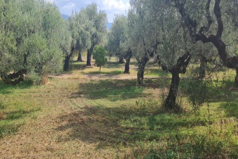 Land in Zakynthos, Greece No. 24735 4