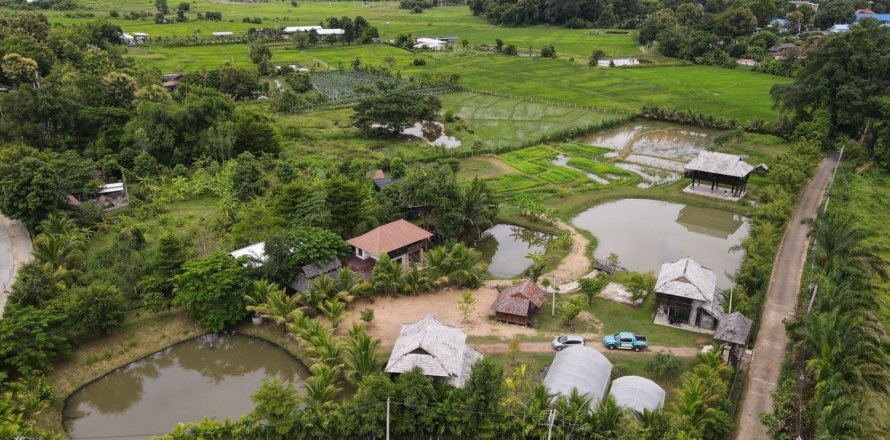 Дом с 5 спальнями в Чиангмай, Таиланд №97726