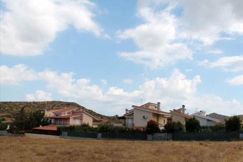 7900m² Land in Palaia Fokaia, Greece No. 59425 6