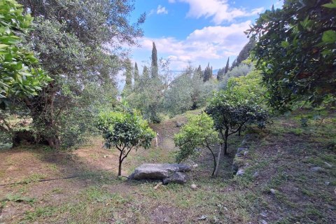 150m² House in Corfu, Greece No. 108053 29