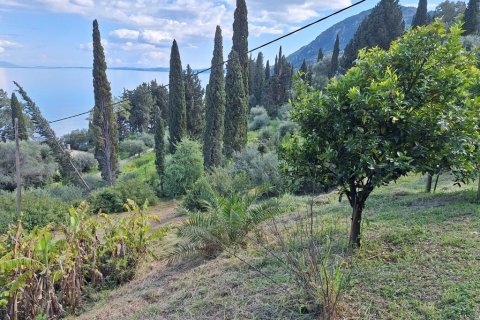 150m² House in Corfu, Greece No. 108053 28