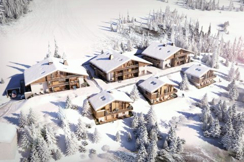 4 bedrooms Apartment in Praz-sur-Arly, France No. 100092 5