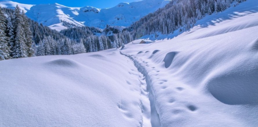 4 bedrooms Apartment in Praz-sur-Arly, France No. 100092