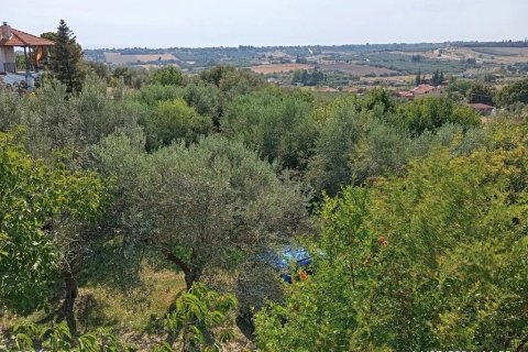 4 bedrooms House in Chalkidiki, Greece No. 108225 7