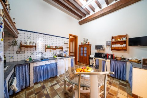 7 bedrooms Properties in Tan Thanh, Vietnam No. 83835 17