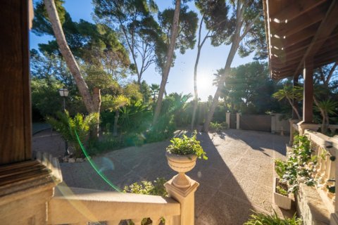 7 bedrooms Properties in Tan Thanh, Vietnam No. 83835 9