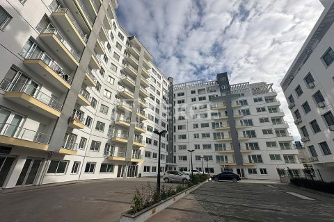 3 chambres Appartement à Phu Ngai, Vietnam No. 16832 1