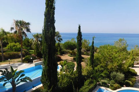 Studio Apartment in Limassol, Cyprus No. 105307 14