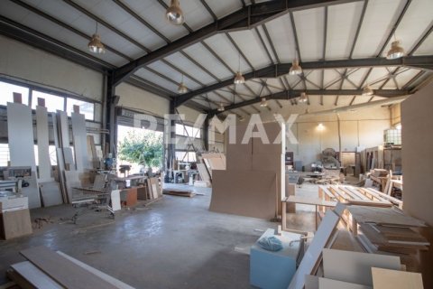 Земельный участок 620м² в Магнисия, Греция №27985 21