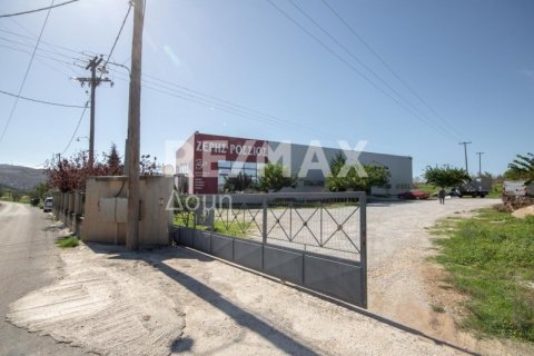 Земельный участок 620м² в Магнисия, Греция №27985 3