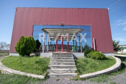 Земельный участок 620м² в Магнисия, Греция №27985 7