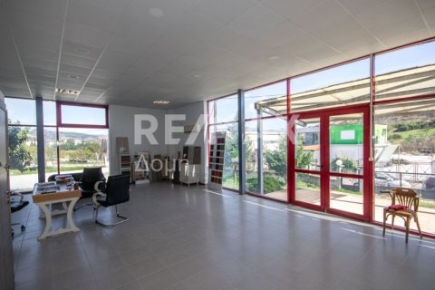 Земельный участок 620м² в Магнисия, Греция №27985 14